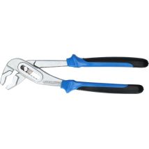 Pince multiprise 10', 250 mm