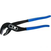 Pince multiprise 10', 250 mm