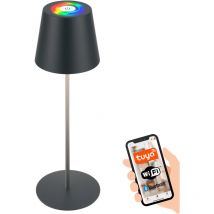 Coloris led Lampe de table Smart sans fil, Smart via commande App, Variable, Fonction mémoire, Minuterie, Anthracite, Ø10,5 x 36 cm - Briloner