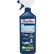 Nettoyant au bicarbonate de soude – 750 ml – Action anti-odeurs – Parfum naturel verveine – Maison Briochin