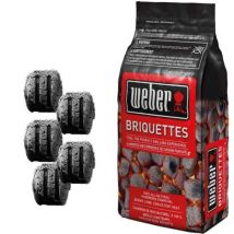 Briquettes pour barbecue