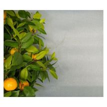 Brise-Vue de couleur pour balcon - 0.90 x 5m Gris
