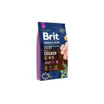 Burberry Brit Nourriture sèche pour Chiens 3000 g (8595602526260)