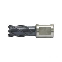 Alfra - Fresa de timar, Acero de corte rápido Co, - revestimiento rqx, profundidad de corte de 25 mm, ø de broca : 23 mm
