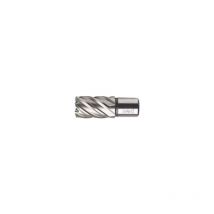 Bohrcraft - Broca hueca hss Weldon // 12,0 x 30 mm bc-qp 19500301225