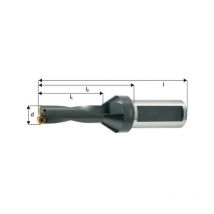 Maier - Broca llena para trozos para regar central, ø d : 38,0 mm, dimensiones l1 116 mm, dimensiones l2 146 mm, dimensiones l : 204 mm, ø mango h 6