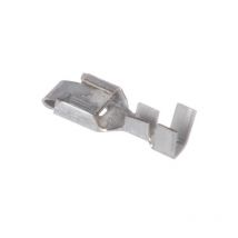 Delphi - Broche DE02965511