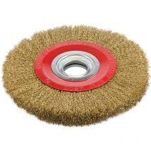 Brosse Circulaire Tourets Metallique A Fils D'Acier Laitonnes De 200 Mm