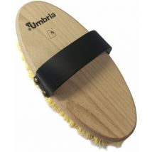 Brosse Leistner avec dos en bois, poils synthétiques courts et main courante en cuir