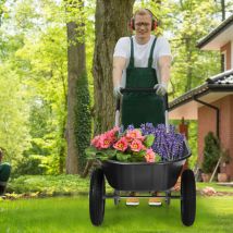 Maisonchic - Brouette de Jardin 2 Roues Brouette de Jardin Résistante en Fer avec Pneus Ø35cm Charge Max 100KG pour Jardinage/Maçonnerie Noir CW2776