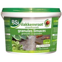 Bsi - Barriera Fisica - Granulato - 100% Naturale - 2,5 Kg - Marca, Grigio