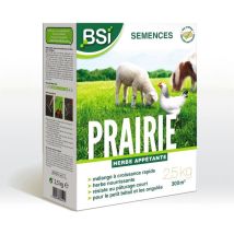 Bsi - Semences De Gazon - Prairie - Haute Qualité - Grande Surface - Jusqu'a 375m² - 7,5kg