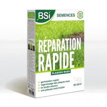 BSI - Semences de Gazon - Réparation Rapide - Avec Enrobage Protecteur - Haute qualité - jusqu'a 50m² - 1Kg