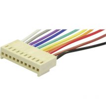 Econ Connect - Steckbuchse mit Litze Polzahl Gesamt 20 Rastermaß: 2.54 mm PS20 1 St.