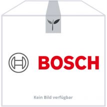 Bosch Glasscheibe Kpl.typ 11 Everp, 63046564