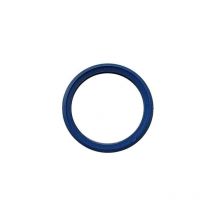 Bosch Ersatzteil ttnr: 7096480 Lippendichtung DN100