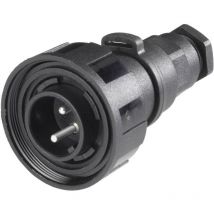 PX0739/P Cosse cylindrique mâle mâle, droit Nombre total de pôles: 6 Série (connecteur rond): PX07 1 pc(s) - Bulgin