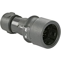 Bulgin Pxp6010/02s/cr/0507 Connettori Circolari Giunto Dritto Tot Poli: 2 Serie (connettore Circolare): Buccaneer 6000