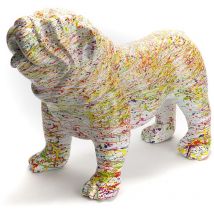 Bulldog usa Splash Amadeus