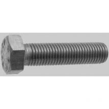 Bullone t.e. inox 6x16