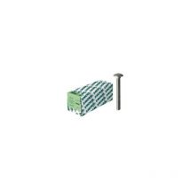 E-normpro - Bullone Testa Bombata Din 603 O.Mu Acciaio Inox A2 M10X140 Hp (a 10)