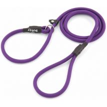 Strong Nylon Slip On Rope Dog Puppy Pet Lead Leash - No Collar Needed - Purple - X-Large - Bunty