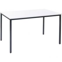 Bureau Braila, table de conférence / seminaire, 120x80cm, blanc