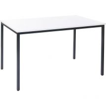 Bureau Braila, table de conférence / seminaire, 120x80cm, blanc