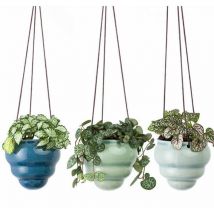 Hanging Pot Baby Bombino Trio - Burgon&ball