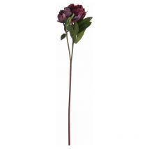 Burgundy Peony Rose Artificial Flower - Plastic - L15 x W20 x H58 cm - Red