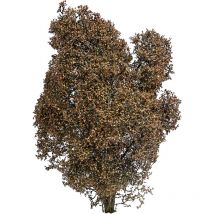 3590 150 mm Herbst - Busch