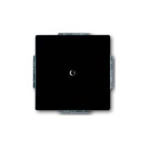 Busch-Jaeger 1742-885 Fausse Plaque Centrale, Noir Mat, Future 1710-0-3895