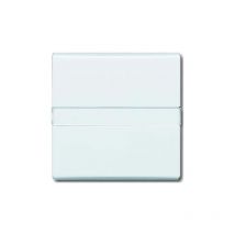 Busch-Jaeger 2106n-32 Plaque De Recouvrement, Interrupteur, Commutateur Inverseur, Interrupteur Va-Et-Vient, Bouton-Poussoir, Zo