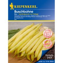 Buschbohne Dior Gemüsesamen - Kiepenkerl
