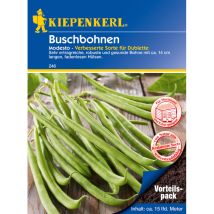 Kiepenkerl Buschbohne Modesto Vorteilspack ca. 15 lfd. Meter Gemüsesamen