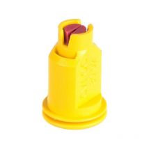 Buse ALBUZ CVIOC8002