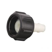 Buse Birchmeier 10396101