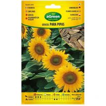 Busta semi di girasole per pipa 301024bolsh agreen.