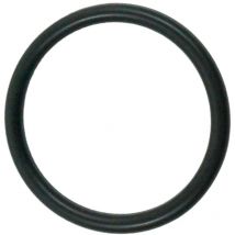 Bypass/zähler O-ring Für Fleckenventil 5600 / 5800