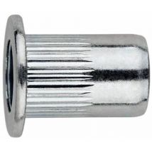 Index - crou sertir Tête large - Zingué M10 x 17 - Box of 250