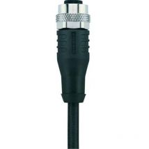 Câble blindé M12 pour capteurs/actionneurs Automation Line Escha AL-WAKS4-5/S370 8046230 Pôle: 4 Contenu: 1 pc(s)