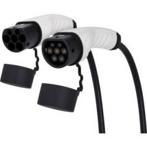 Absina - 52-231-1002 Câble de charge pour véhicule électrique 5 m Y071962