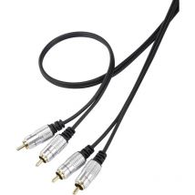 Speaka Professional - Câble de raccordement SP-7870144 Cinch-RCA audio [2x Cinch-RCA mâle - 2x Cinch-RCA mâle] 1.00 m noi