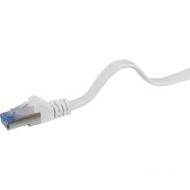 RF-4149837 RJ45 Câble réseau, câble patch cat 6a u/ftp 0.50 m gris très flexible, avec cliquet d'encastrement, ignifuge 1 pc(s) Y625401 - Renkforce