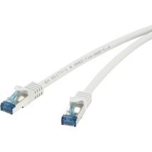 RF-4145283 RJ45 Câble réseau, câble patch cat 6a s/ftp 1.00 m gris avec cliquet d'encastrement, ignifuge 1 pc - Renkforce