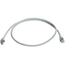 Telegärtner - 100008175 RJ45 Câble réseau, câble patch cat 5e s/ftp 0.50 m gris ignifuge, avec cliquet d'encastrement 0.5