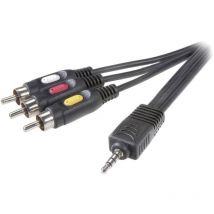 Speaka Professional - Câble de raccordement SP-7869876 [1x Jack mâle 3.5 mm - 3x Cinch-RCA mâle] 2.00 m noir