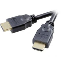 Speaka Professional - Câble de raccordement SP-7869884 1.50 m noir