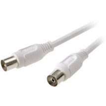 Speaka Professional - Câble de raccordement SP-7870420 [1x antenne mâle 75 ω - 1x antenne femelle 75 ω] 2.50 m blanc