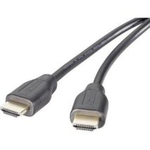 Speaka Professional - Câble de raccordement SP-8821980 3.00 m noir A731032